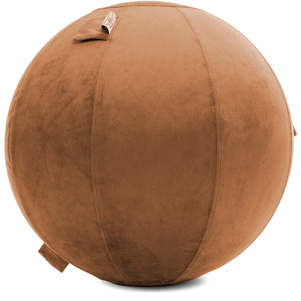 360 - YOGA-75-PBALL-Tan-Elect - Husband Pillow