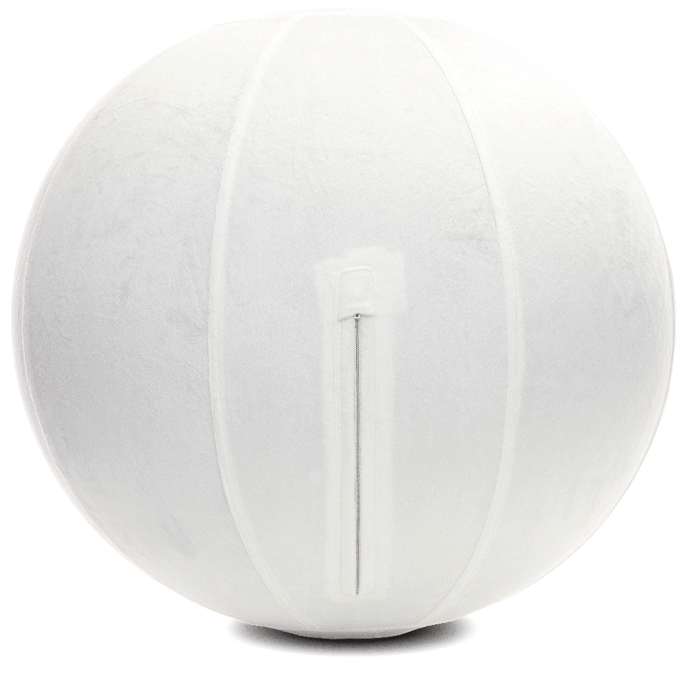 360 - YOGA-75-PBALL-White-Elect - Husband Pillow