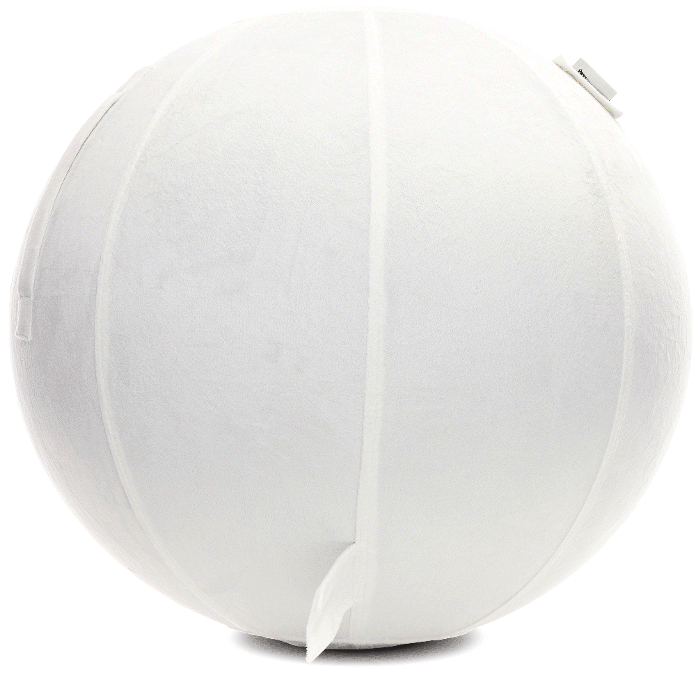 360 - YOGA-75-PBALL-White-Elect - Husband Pillow
