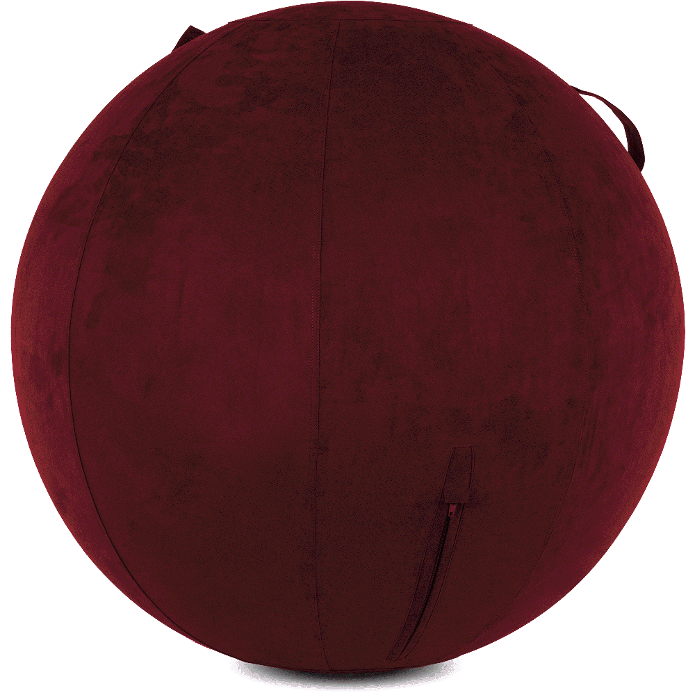 360 - YOGA-85-COWBALL-AMaroon-Manual - Husband Pillow