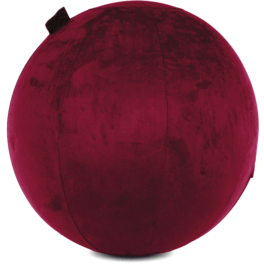 360 - YOGA-85-COWBALL-MPurpl-Elect - Husband Pillow