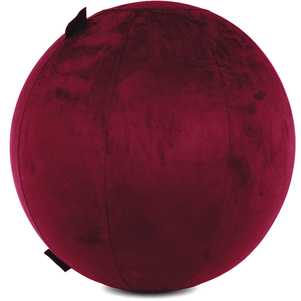 360 - YOGA-85-COWBALL-MPurpl-Elect - Husband Pillow