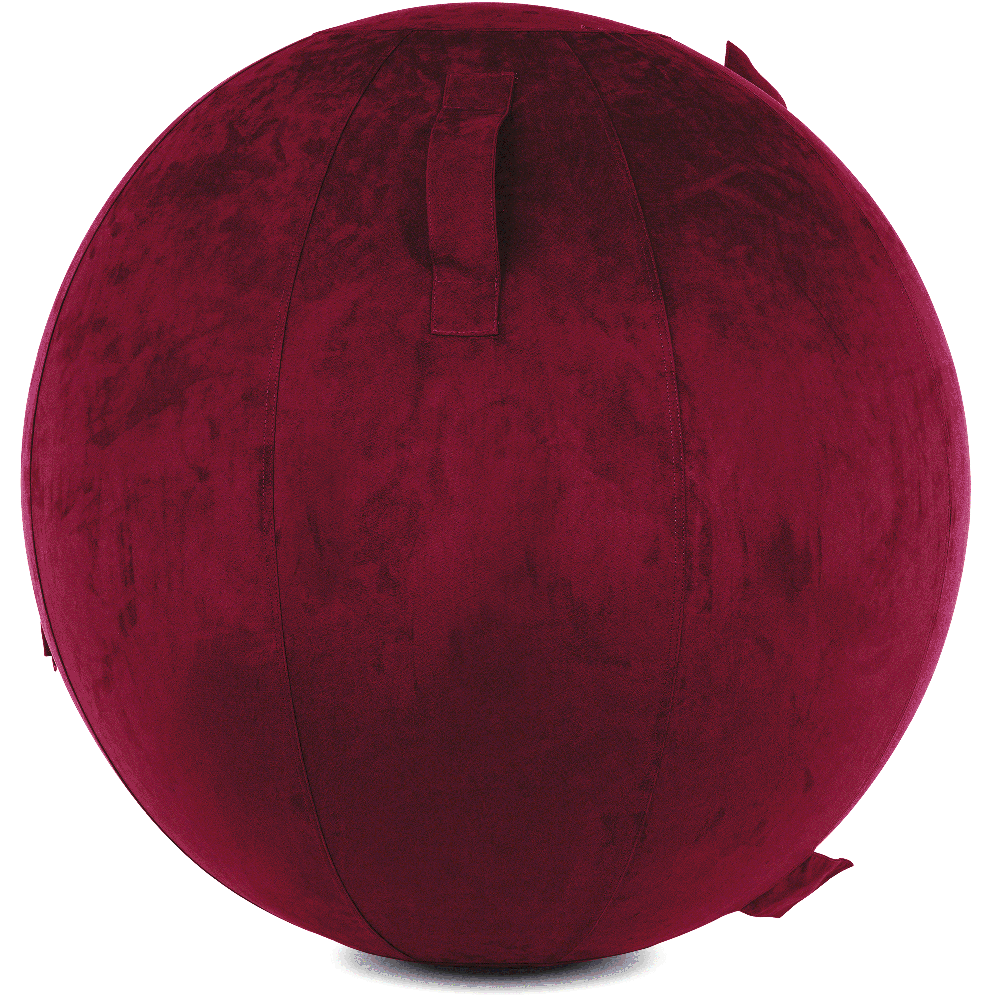 360 - YOGA-85-COWBALL-MPurpl-Elect - Husband Pillow