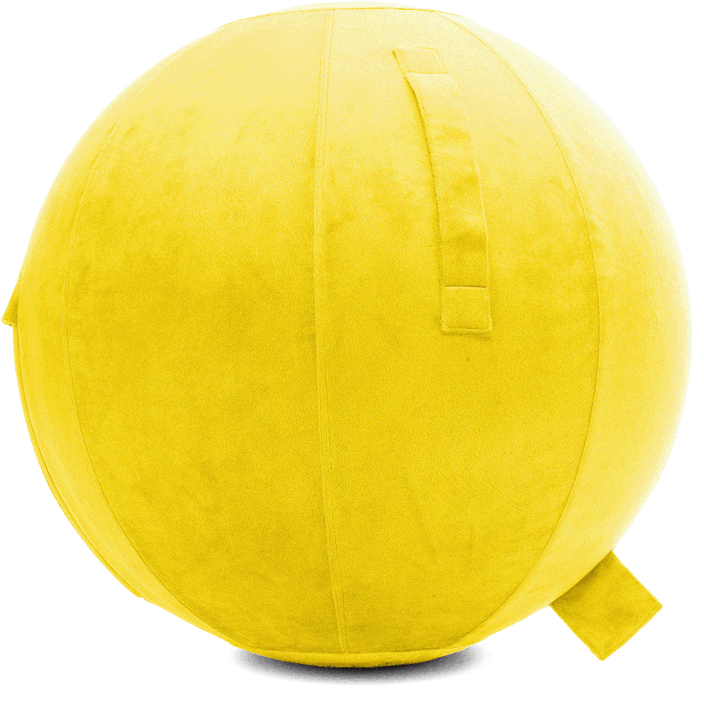 360 - YOGA-85-PBALL-BYellow-Manual - Husband Pillow