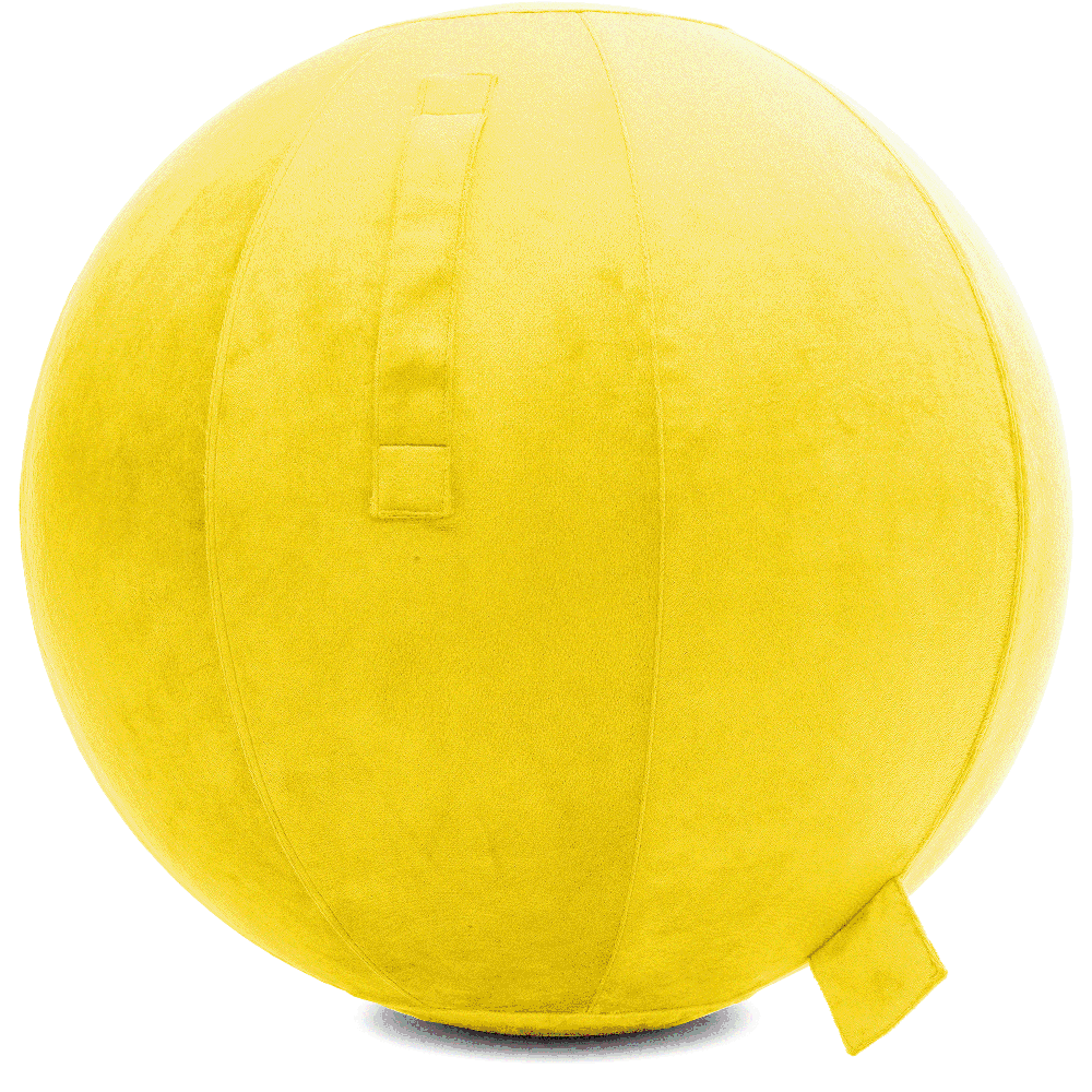 360 - YOGA-85-PBALL-BYellow-Manual - Husband Pillow