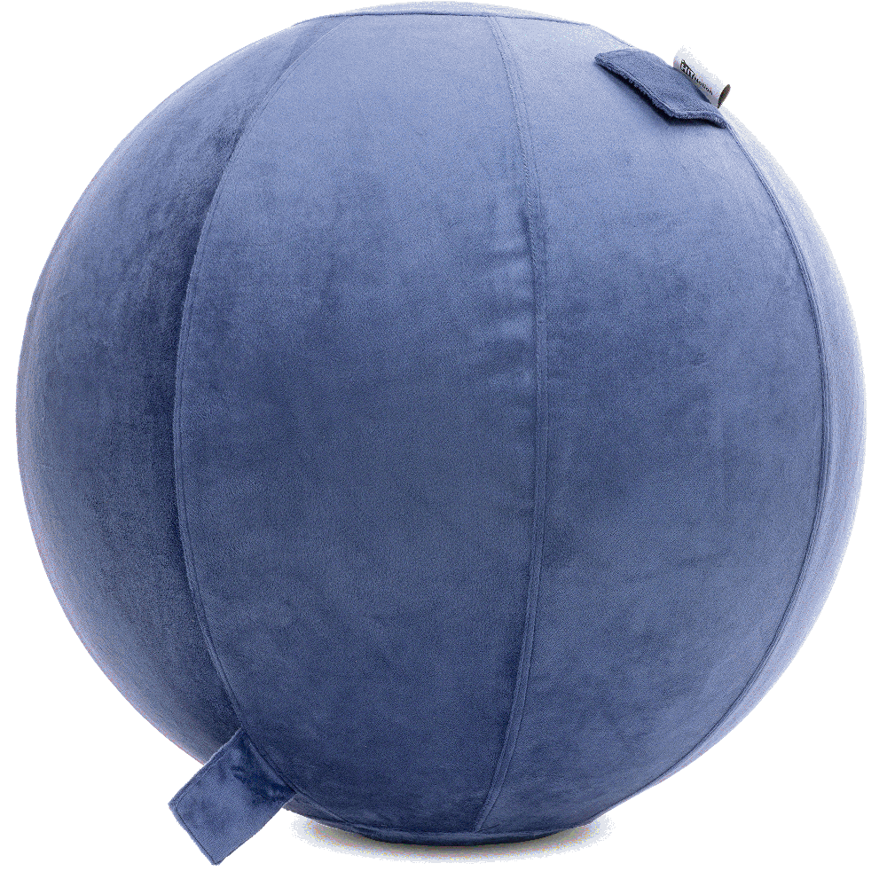 360 - YOGA-85-PBALL-DBlue-Elect - Husband Pillow