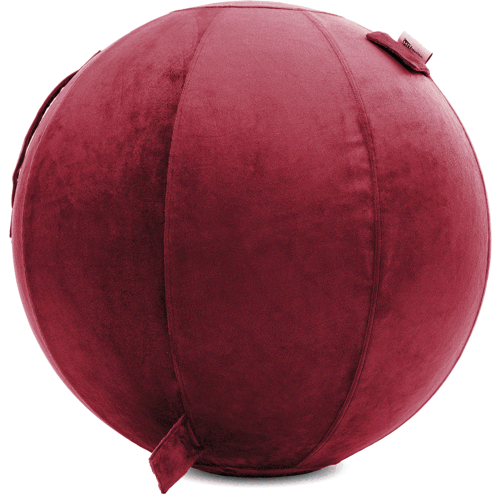 360 - YOGA-85-PBALL-Maroon-Manual - Husband Pillow