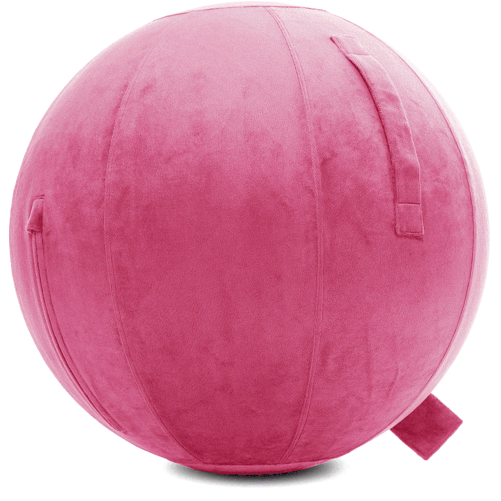 360 - YOGA-85-PBALL-Pink-Elect - Husband Pillow