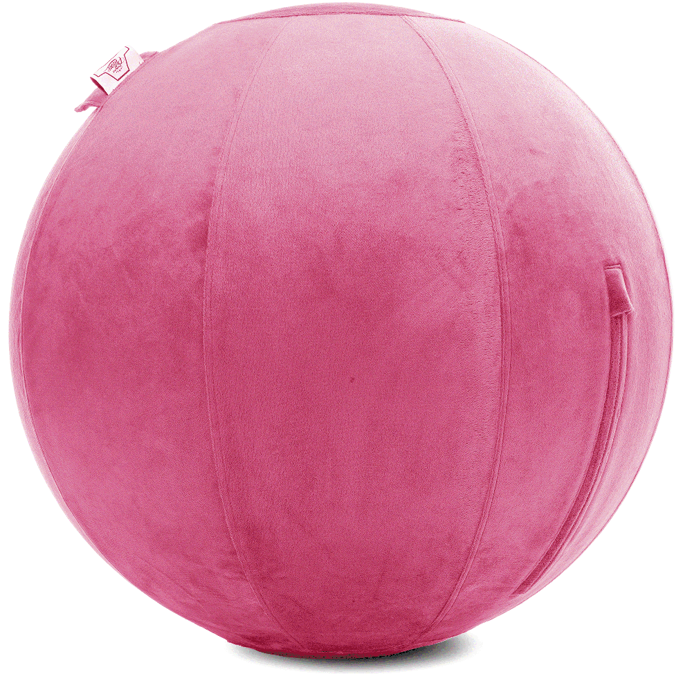360 - YOGA-85-PBALL-Pink-Elect - Husband Pillow