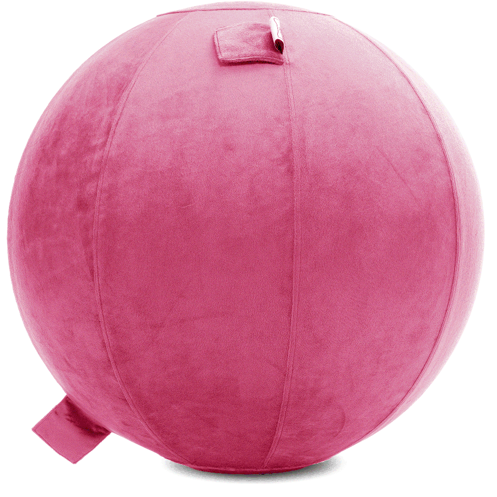 360 - YOGA-85-PBALL-Pink-Elect - Husband Pillow