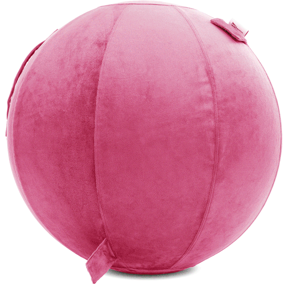 360 - YOGA-85-PBALL-Pink-Elect - Husband Pillow