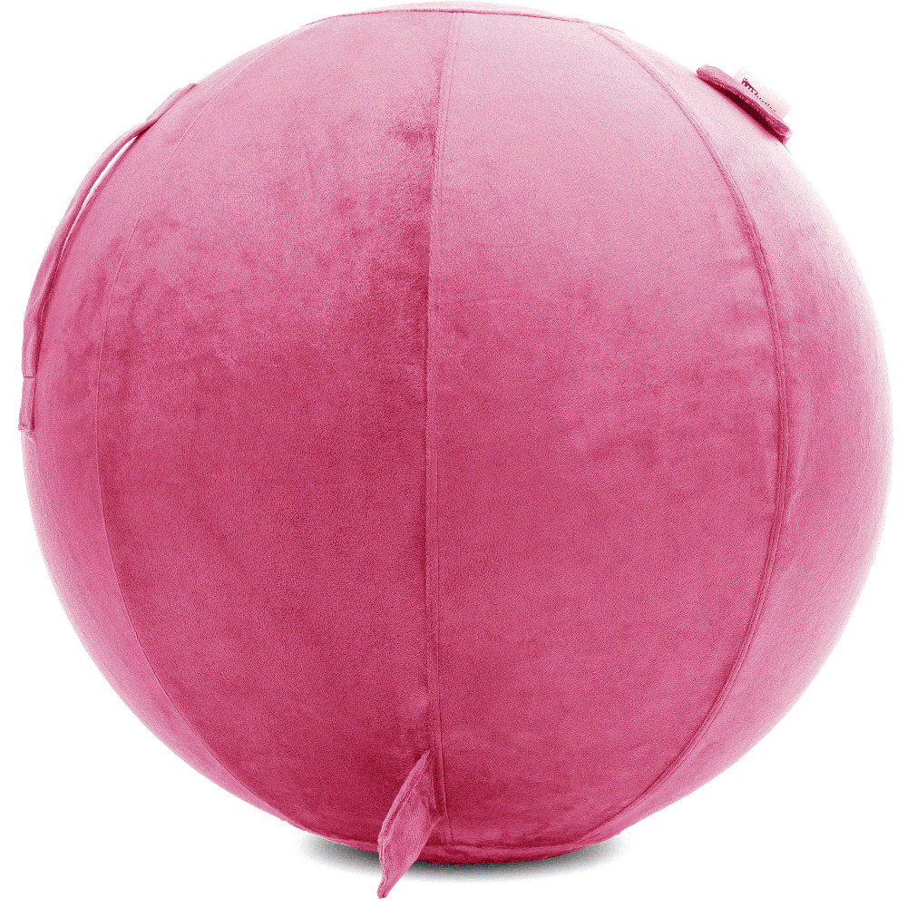 360 - YOGA-85-PBALL-Pink-Elect - Husband Pillow
