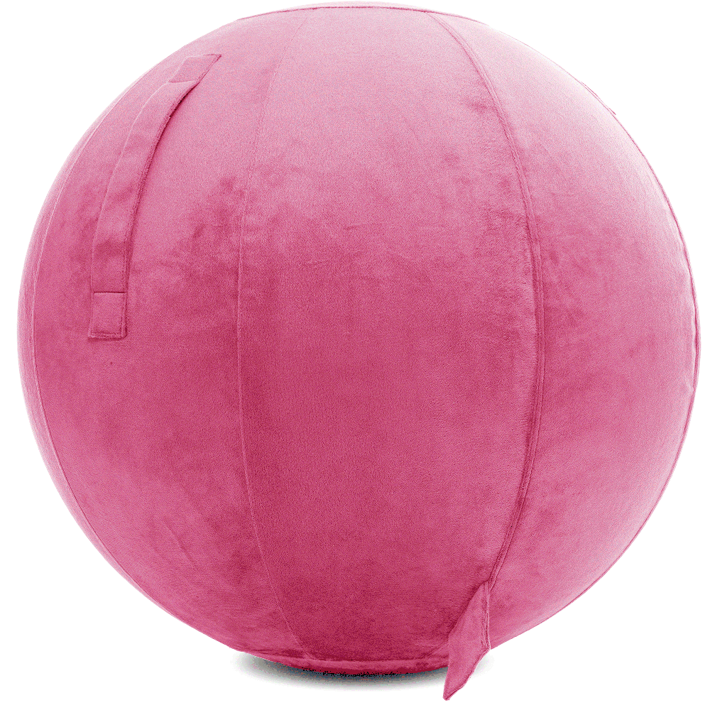 360 - YOGA-85-PBALL-Pink-Elect - Husband Pillow