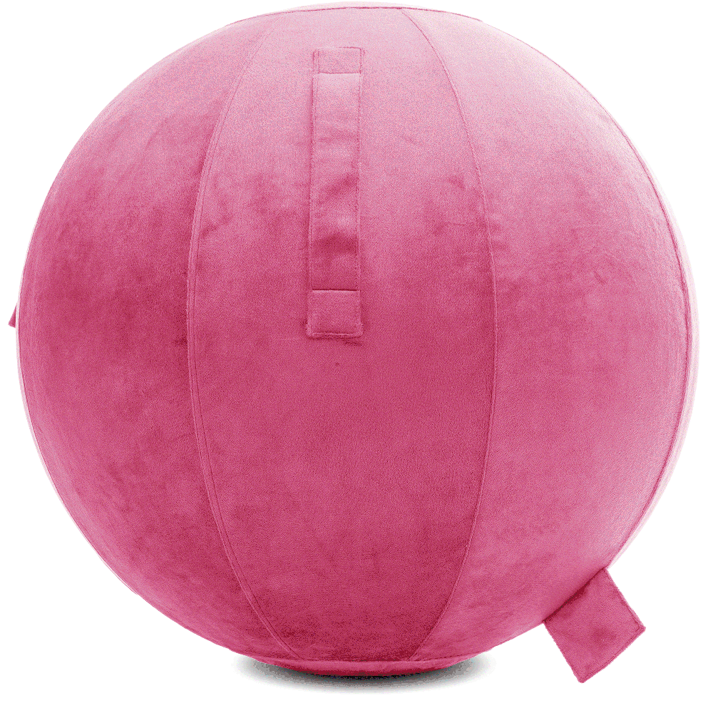 360 - YOGA-85-PBALL-Pink-Elect - Husband Pillow