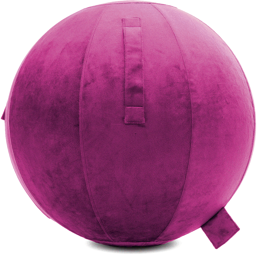 360 - YOGA-85-PBALL-SRaspberry-Manual - Husband Pillow