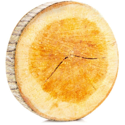 Birch Slice